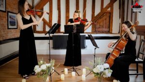 Corporate String Performers Entertainment